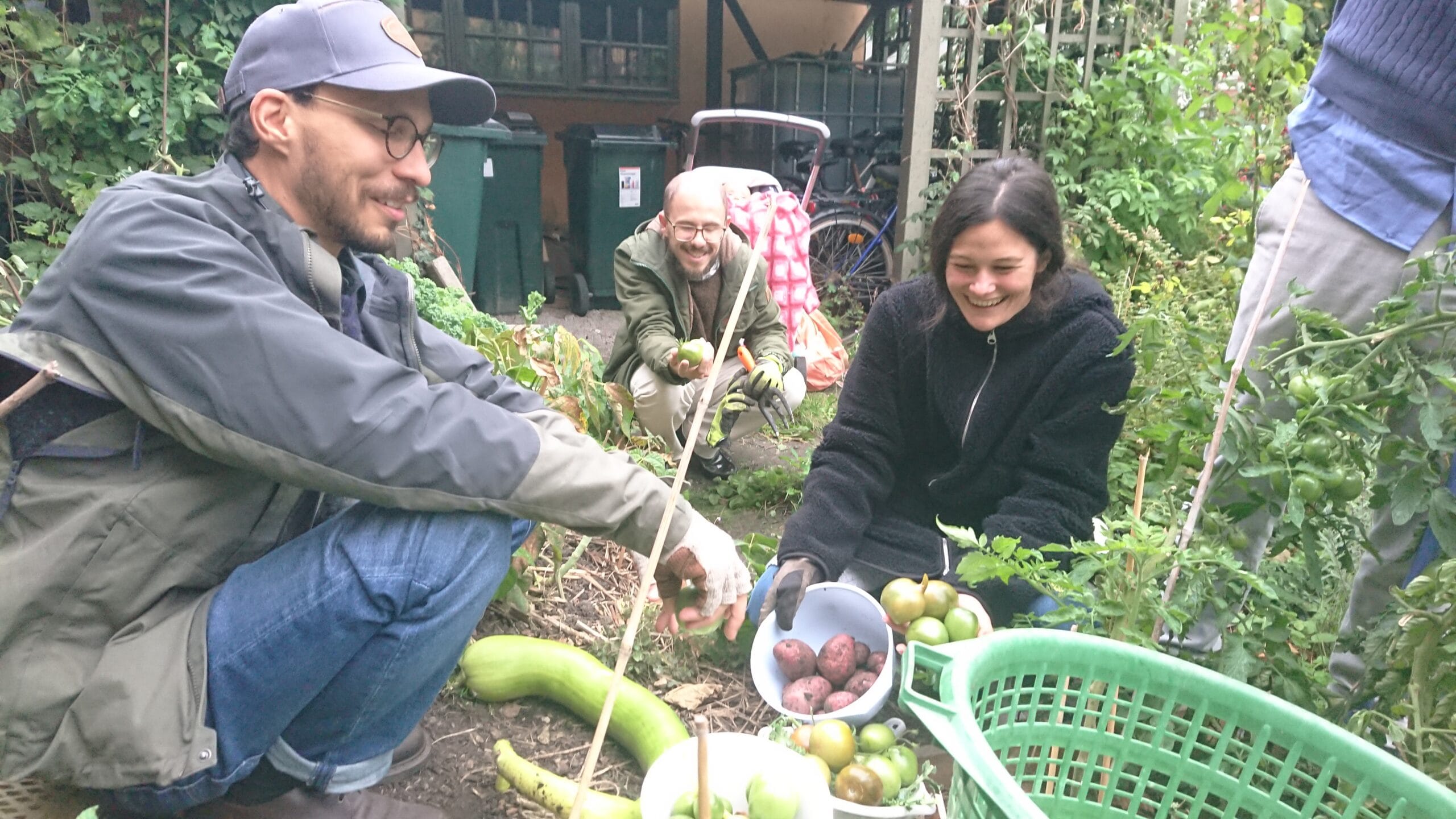 dscpdc-0003-burst20220926175045223-cover